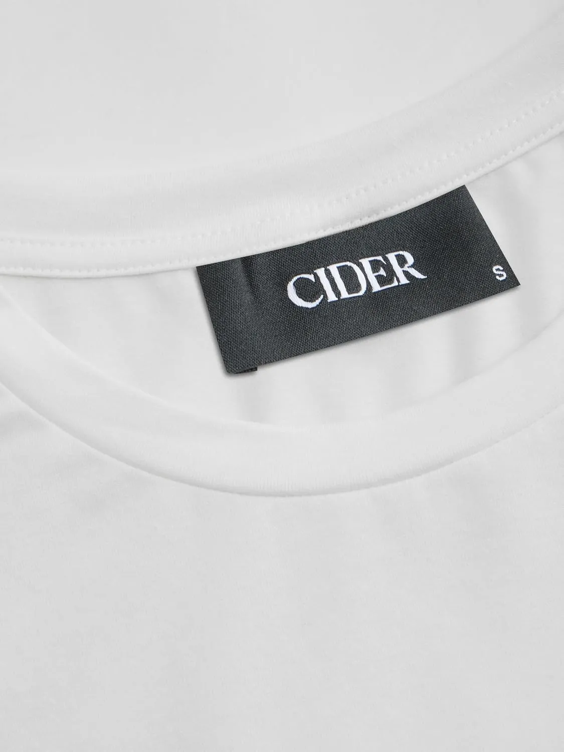 CIDER Graphic Tees for Women Artist Graphic Crew Neck Oversized Short Sleeve Casual Tops