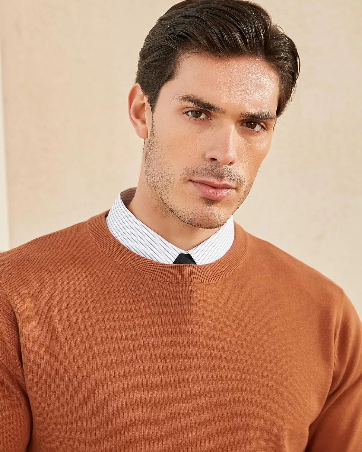 Kallspin Men's Crew Neck Sweater Regular Fit Long Sleeve Pure Cotton Casual Knit Pullover Sweater
