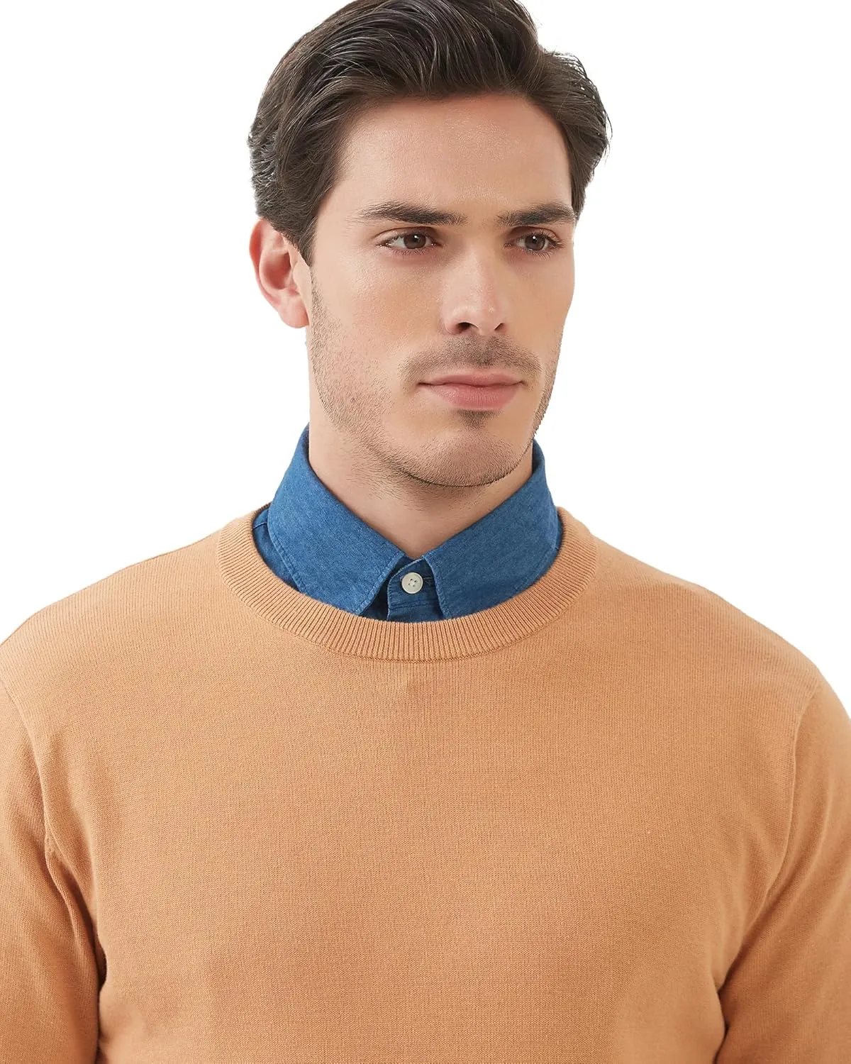 Kallspin Men's Crew Neck Sweater Regular Fit Long Sleeve Pure Cotton Casual Knit Pullover Sweater